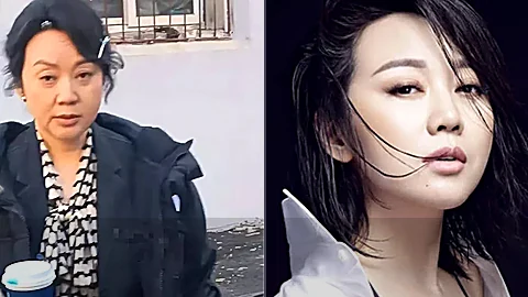 闫妮菜市状态在线